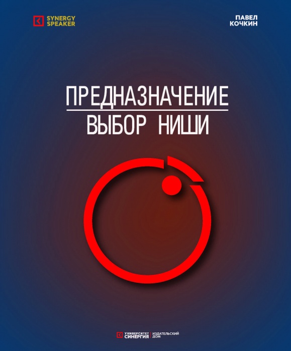 Предназначение. Выбор ниши